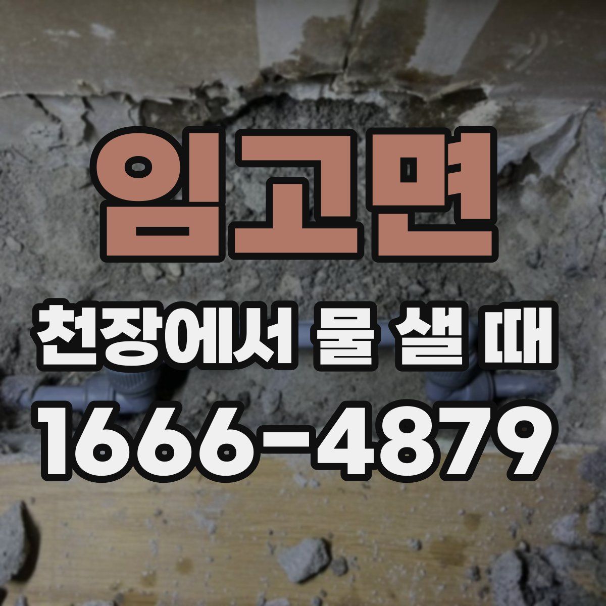 임고면 천장에서 물 샐 때