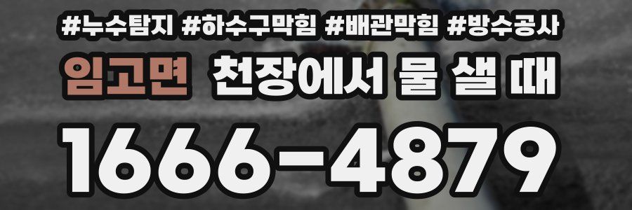 임고면 천장에서 물 샐 때