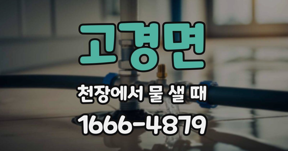 고경면 천장에서 물 샐 때