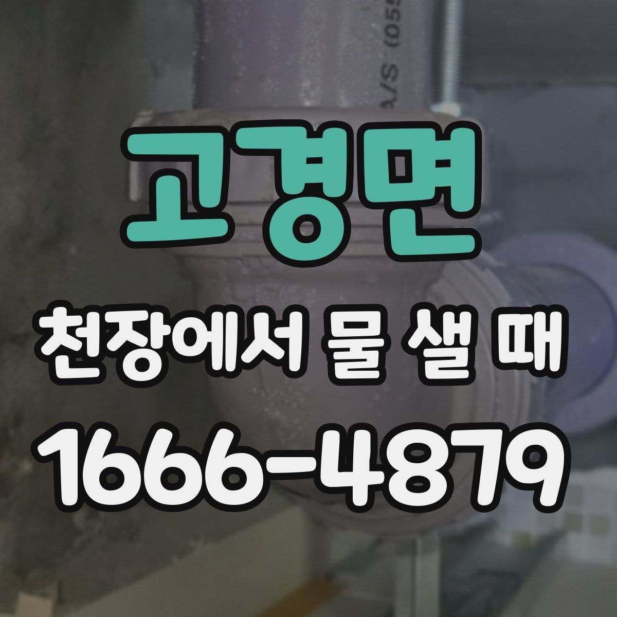 고경면 천장에서 물 샐 때