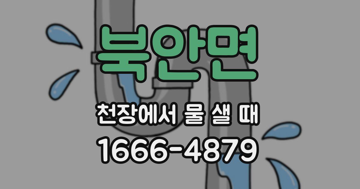 북안면 천장에서 물 샐 때