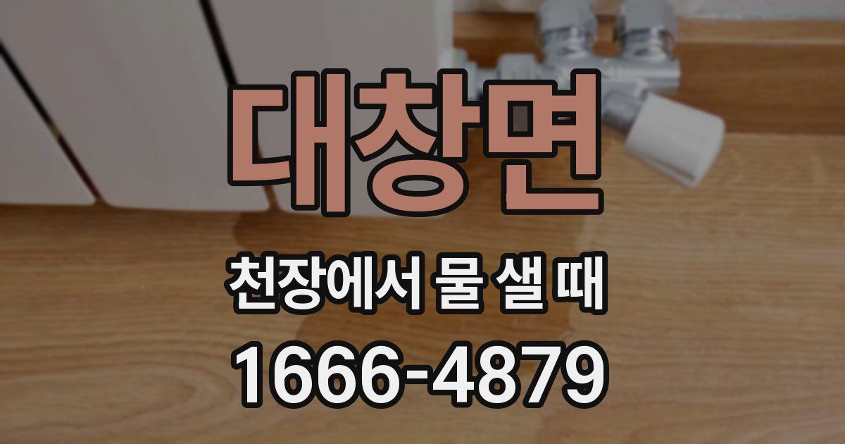 대창면 천장에서 물 샐 때