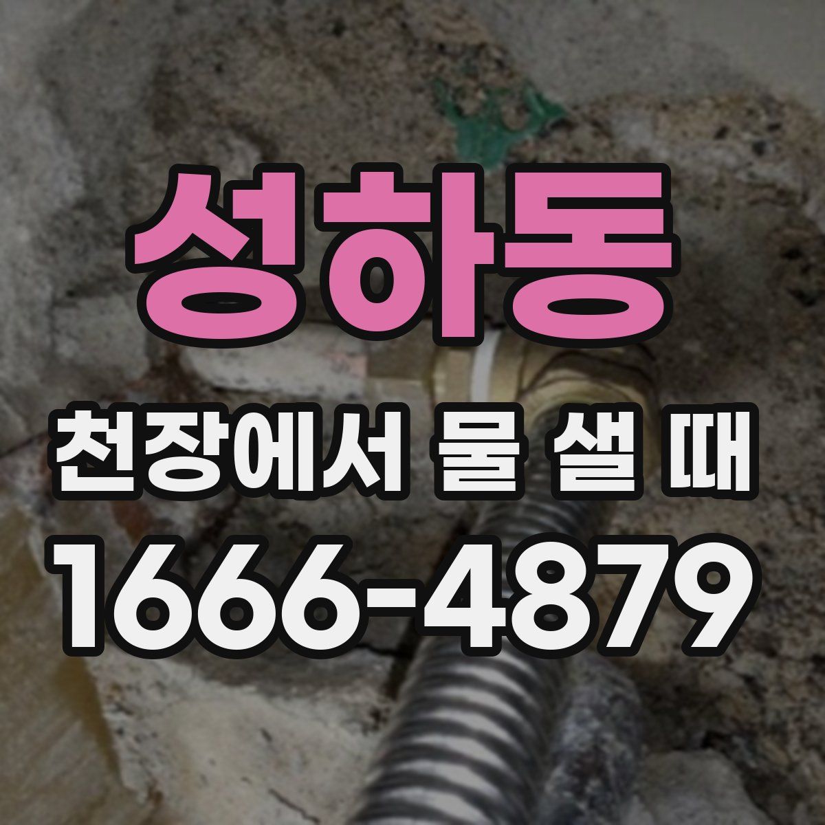 성하동 천장에서 물 샐 때