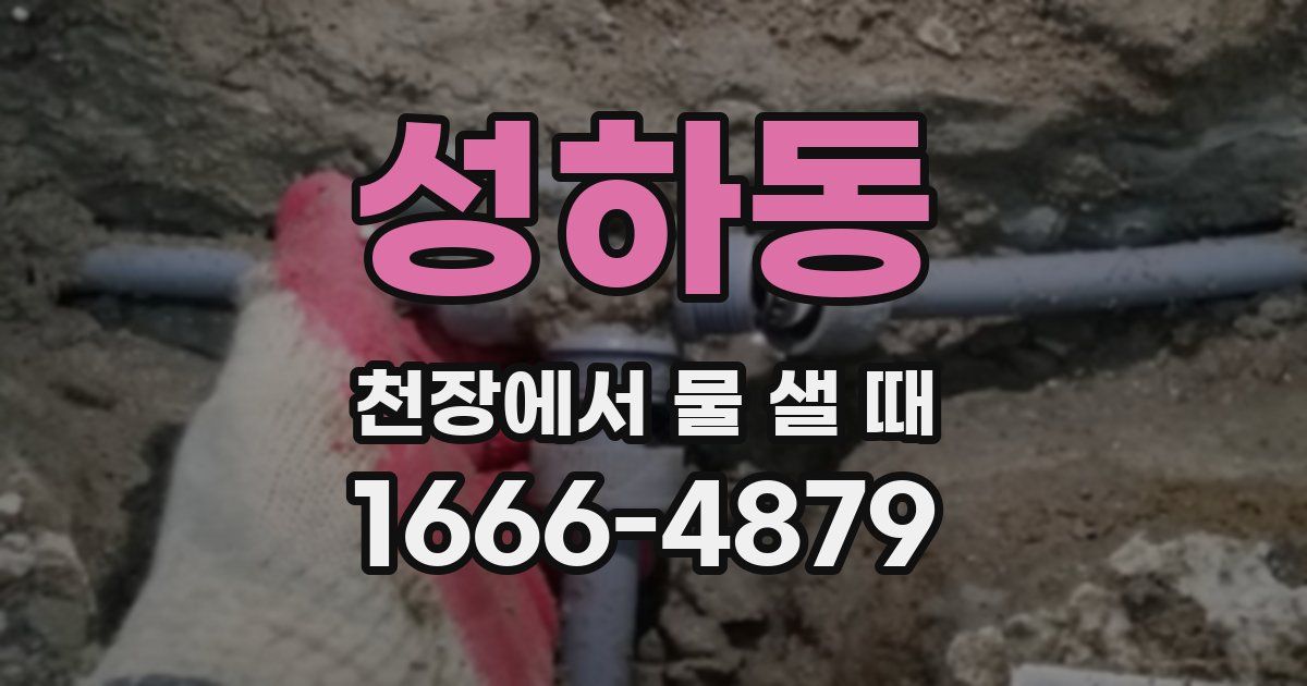 성하동 천장에서 물 샐 때