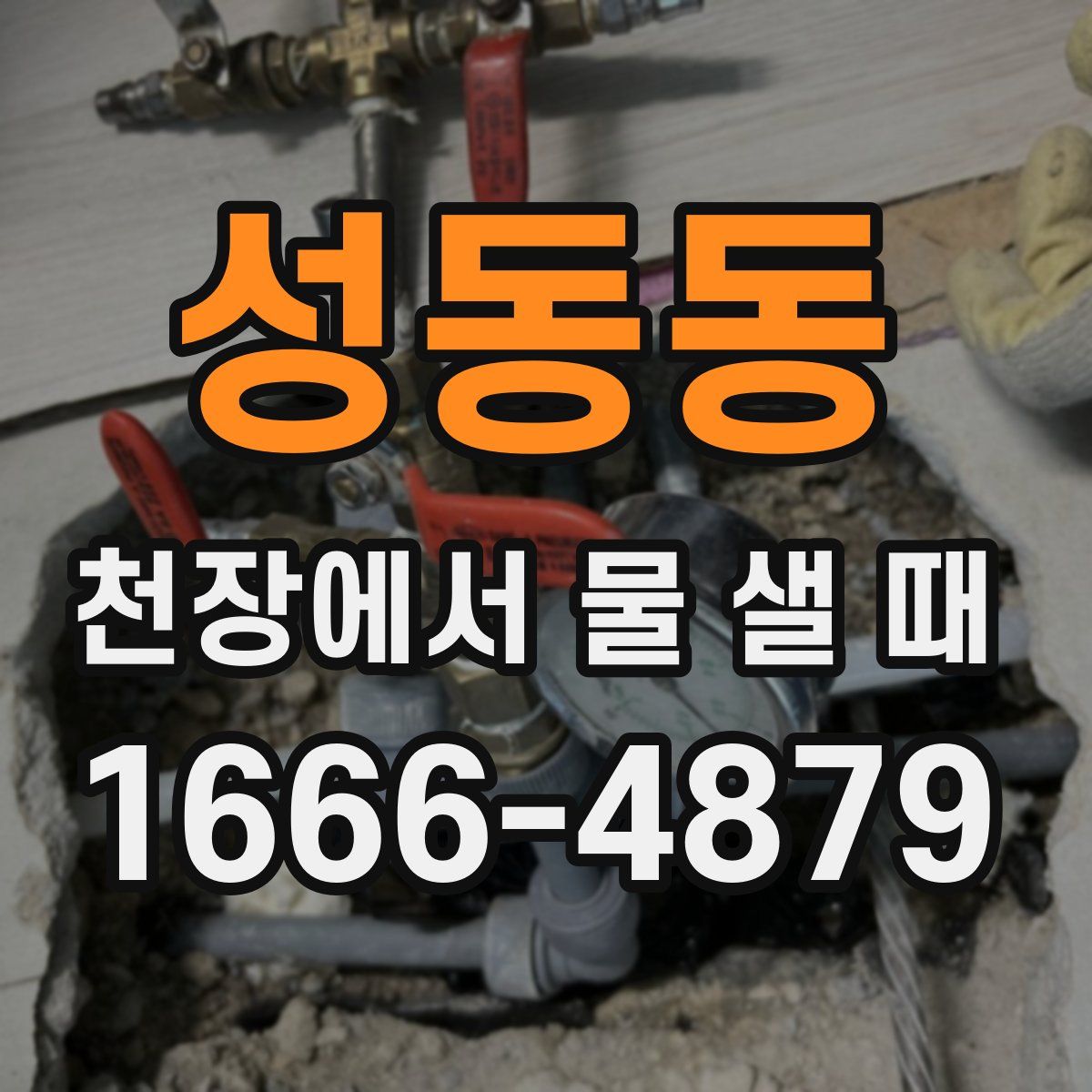 성동동 천장에서 물 샐 때