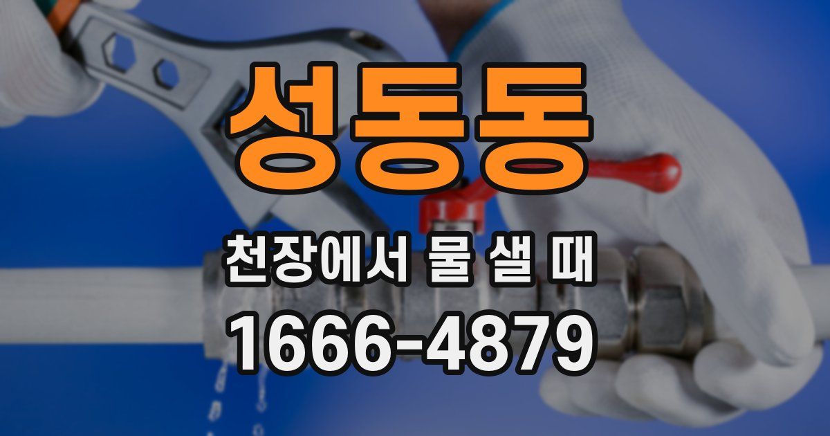 성동동 천장에서 물 샐 때