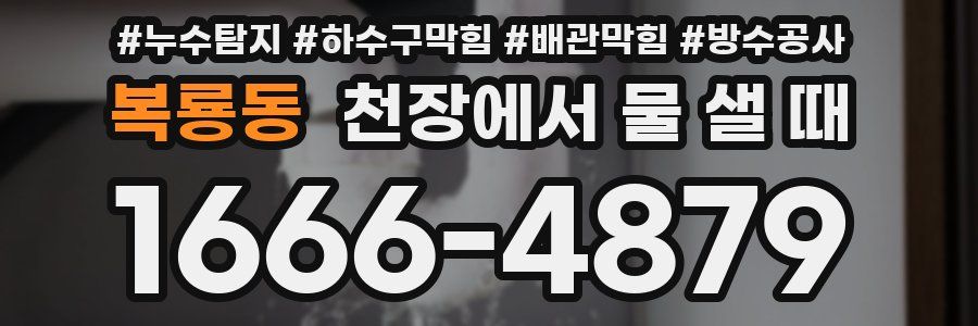 복룡동 천장에서 물 샐 때
