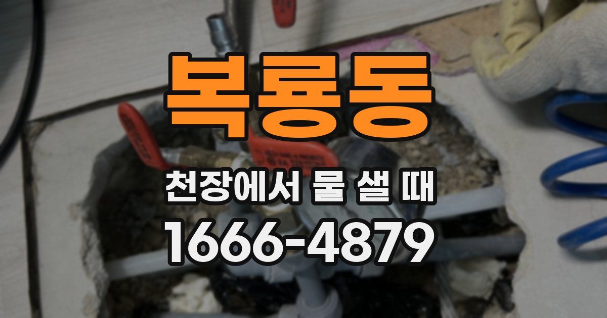 복룡동 천장에서 물 샐 때