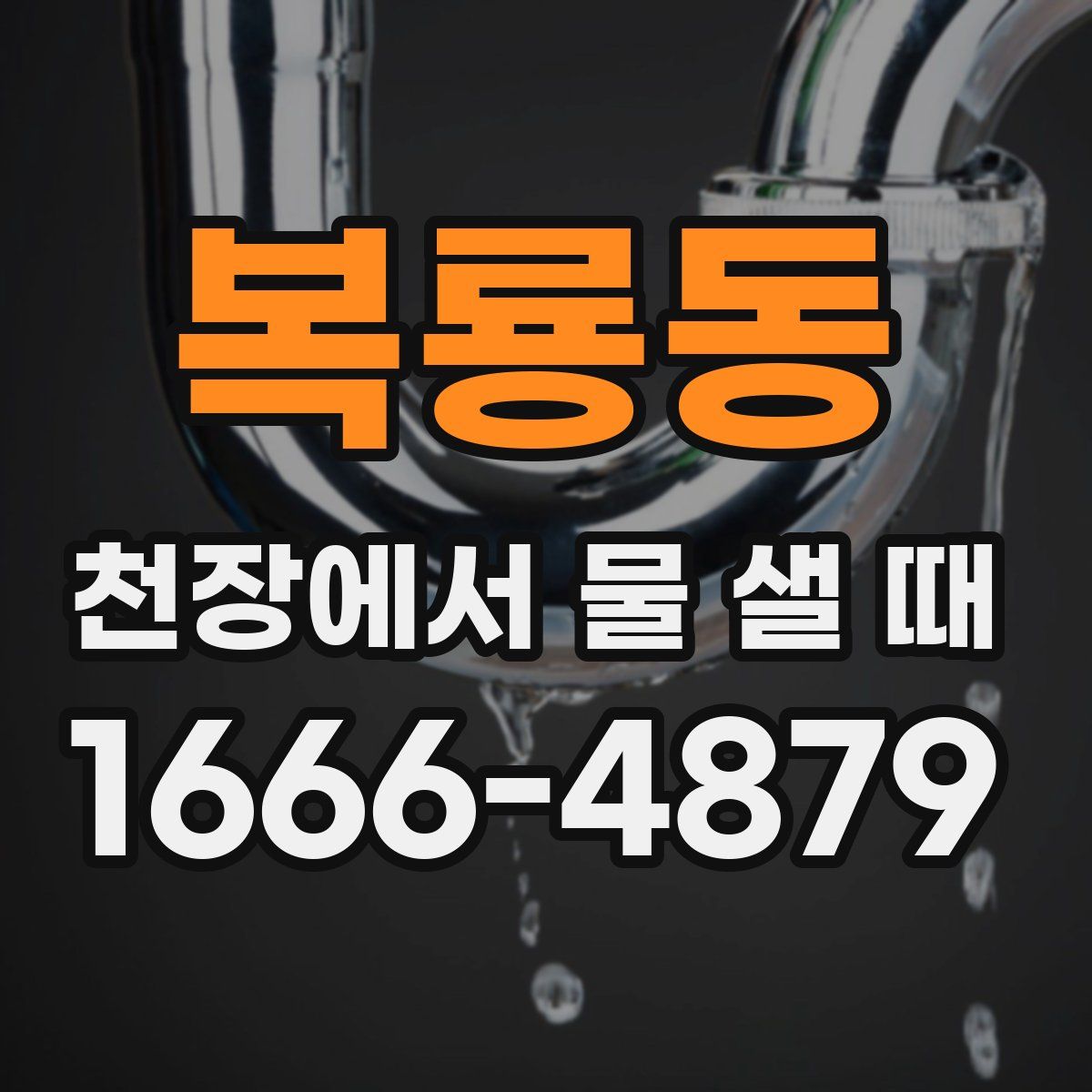 복룡동 천장에서 물 샐 때