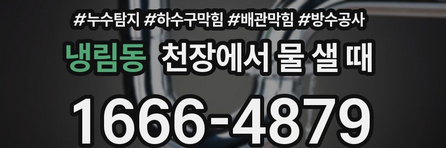 냉림동 천장에서 물 샐 때
