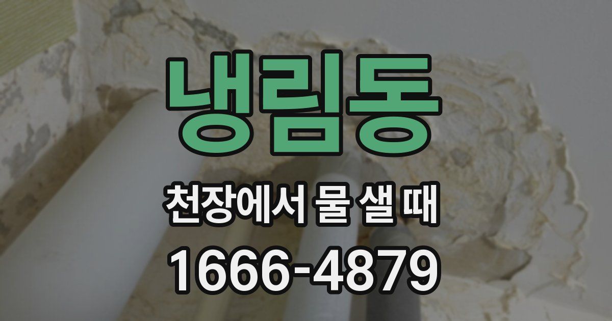 냉림동 천장에서 물 샐 때