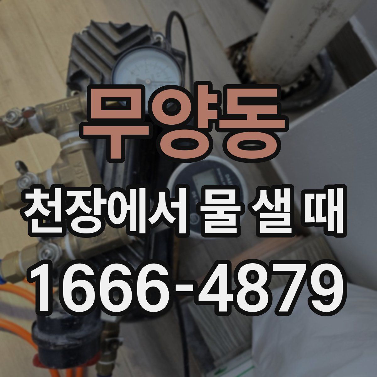 무양동 천장에서 물 샐 때