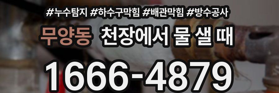 무양동 천장에서 물 샐 때