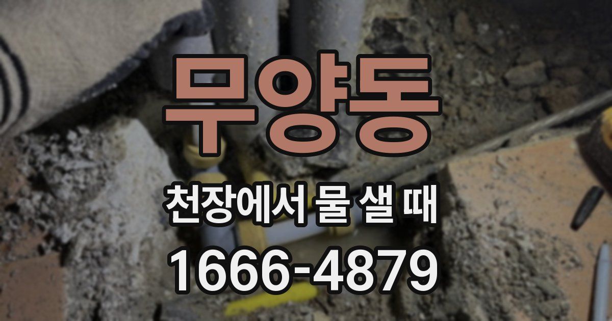 무양동 천장에서 물 샐 때
