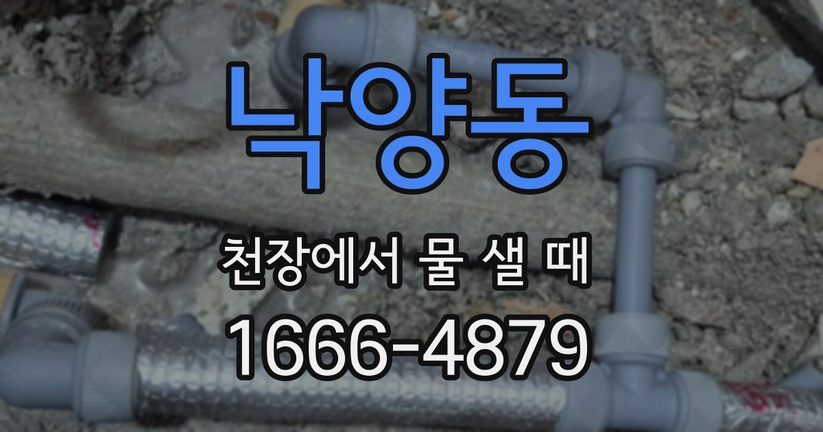 낙양동 천장에서 물 샐 때