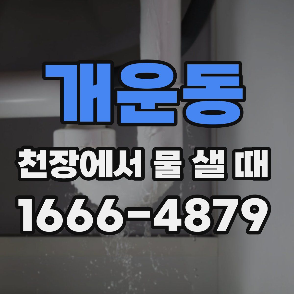 개운동 천장에서 물 샐 때