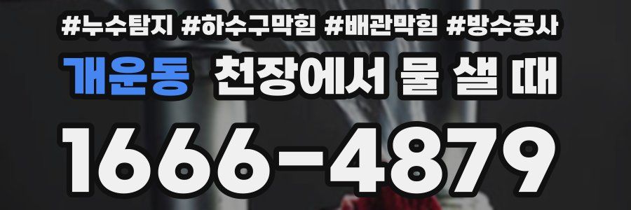 개운동 천장에서 물 샐 때
