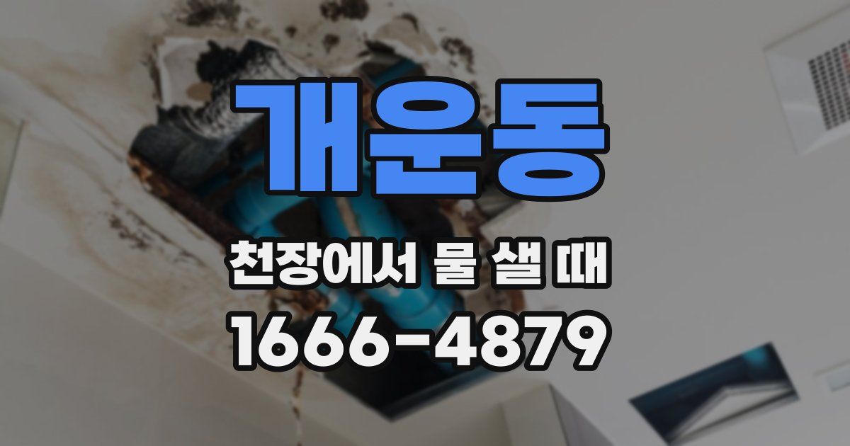 개운동 천장에서 물 샐 때