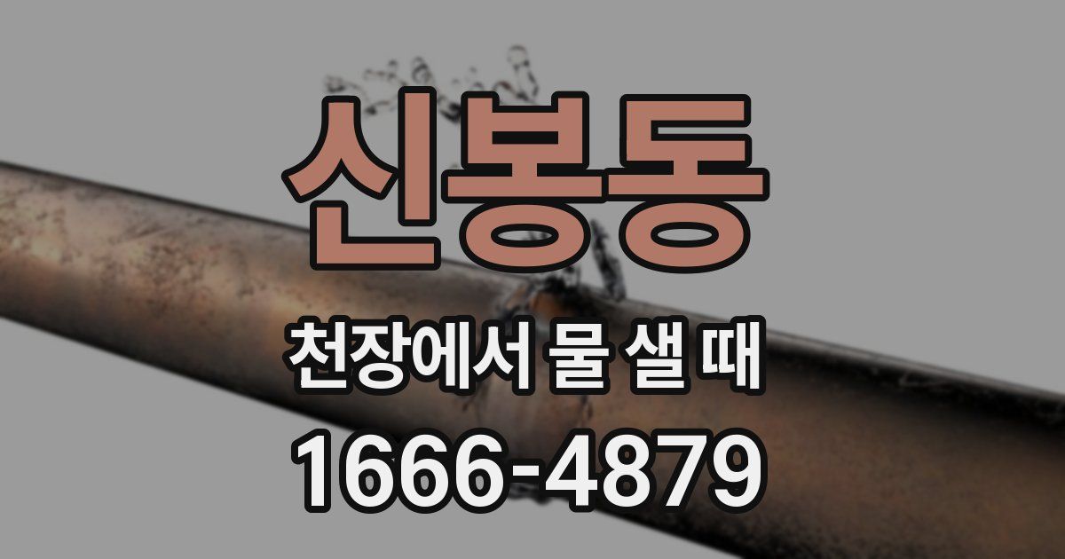 신봉동 천장에서 물 샐 때