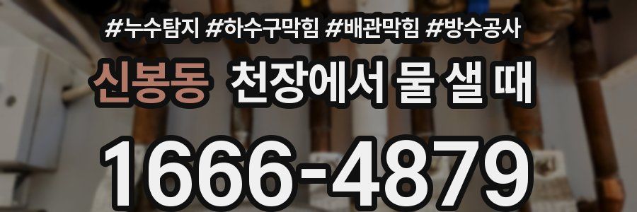 신봉동 천장에서 물 샐 때