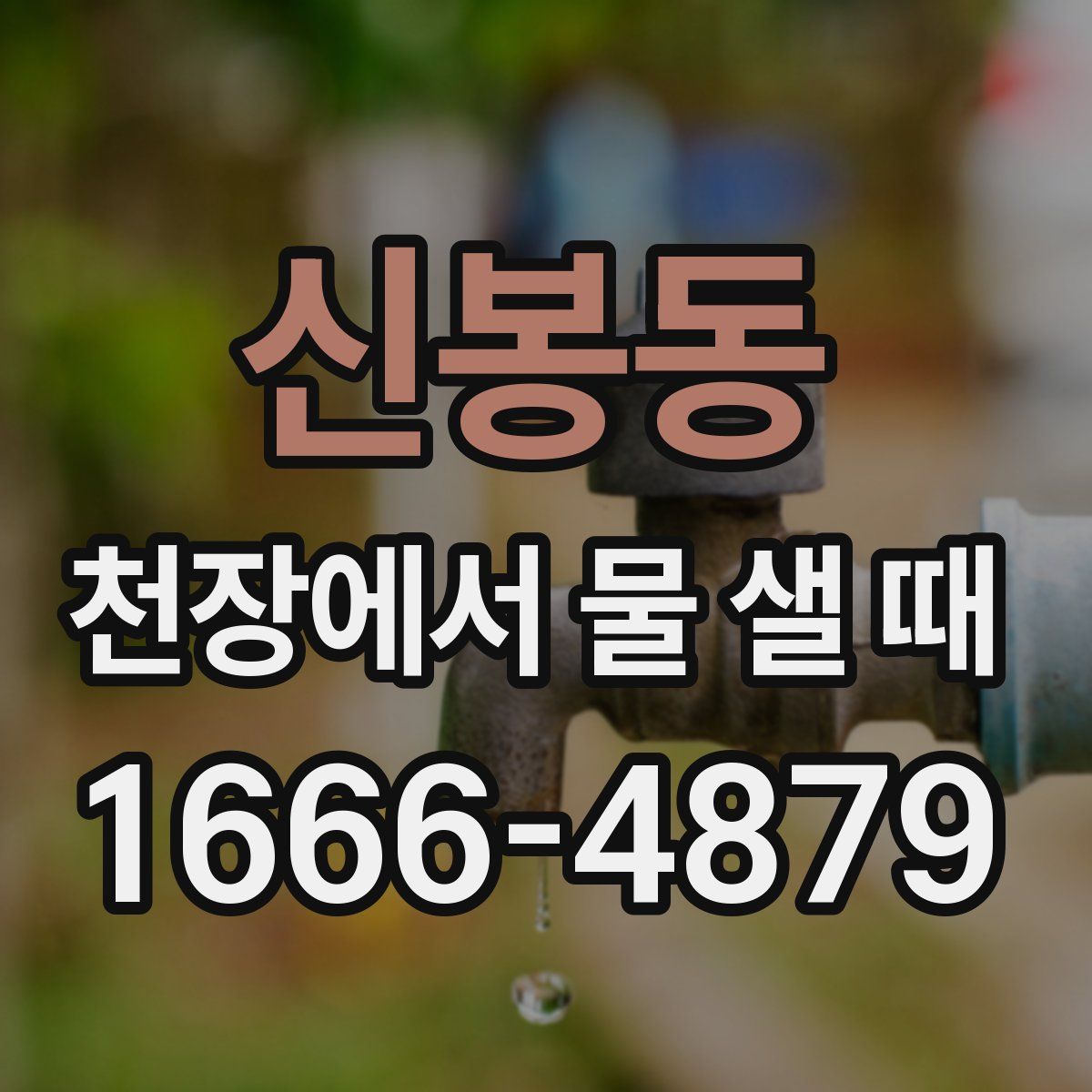 신봉동 천장에서 물 샐 때