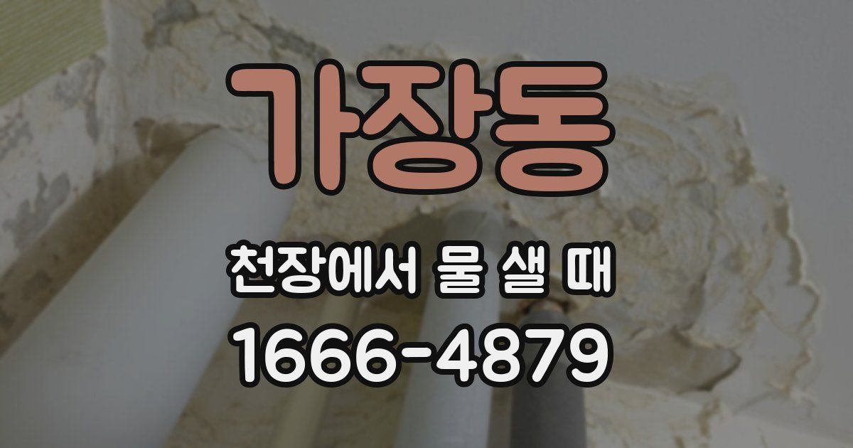 가장동 천장에서 물 샐 때