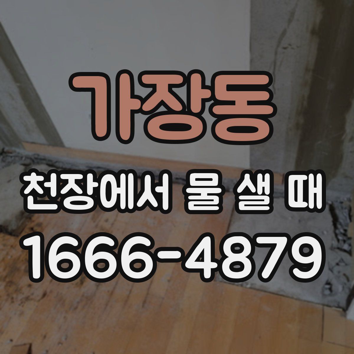 가장동 천장에서 물 샐 때
