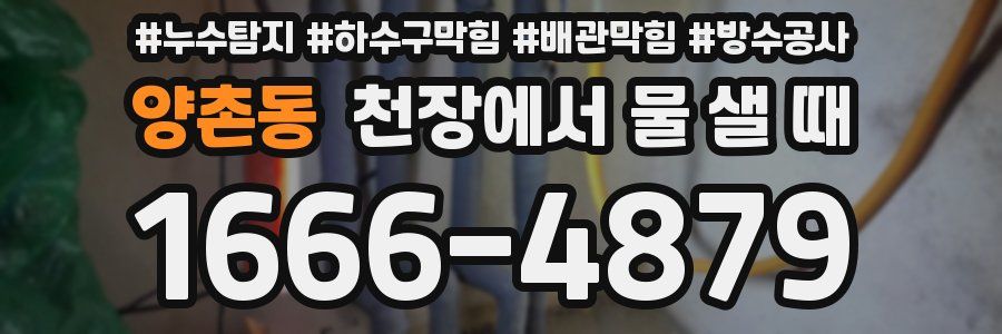 양촌동 천장에서 물 샐 때