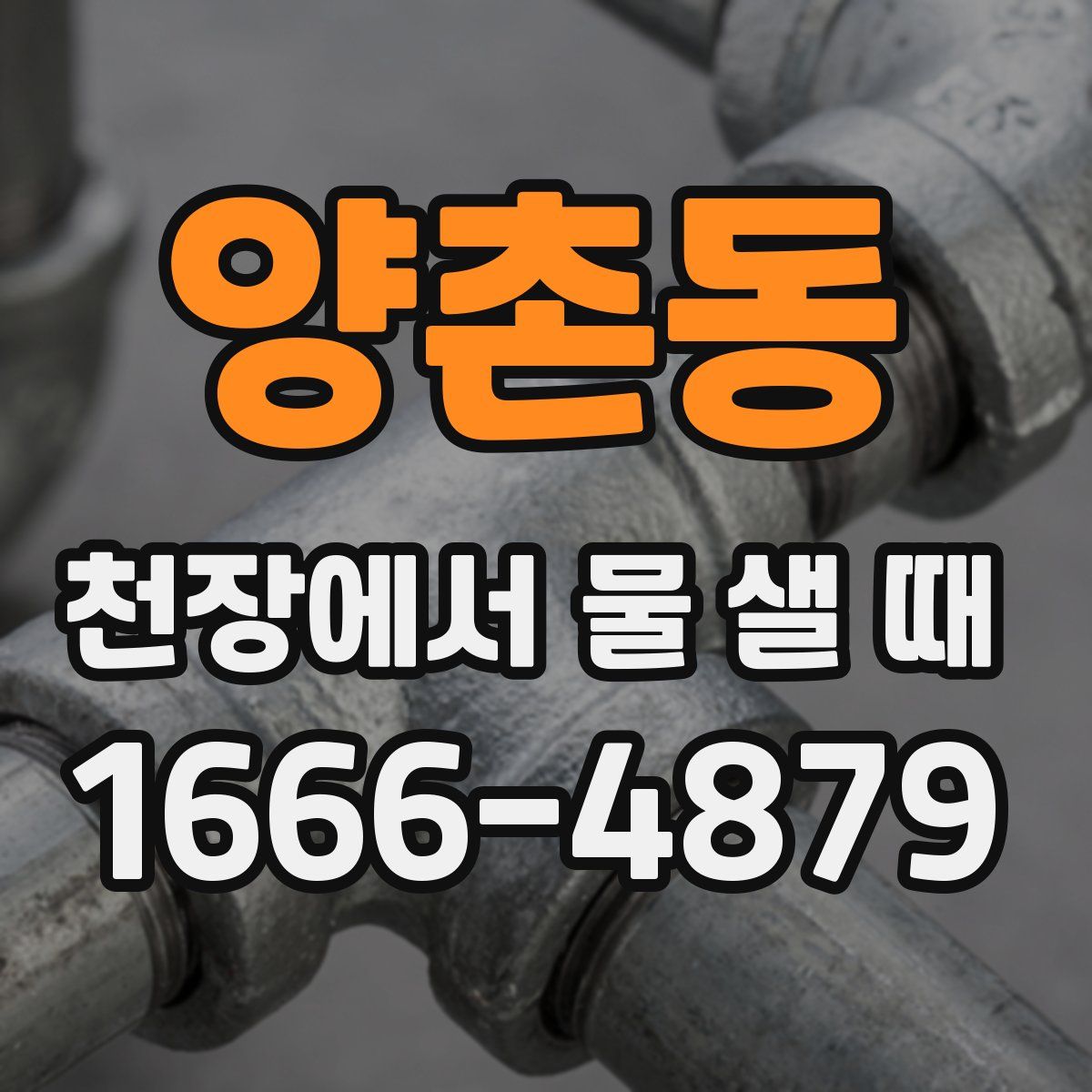 양촌동 천장에서 물 샐 때