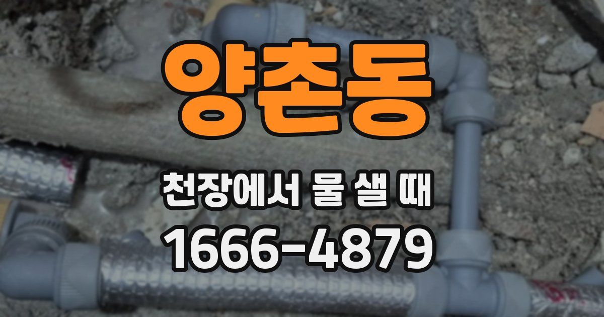 양촌동 천장에서 물 샐 때