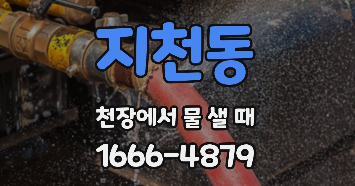 지천동 천장에서 물 샐 때