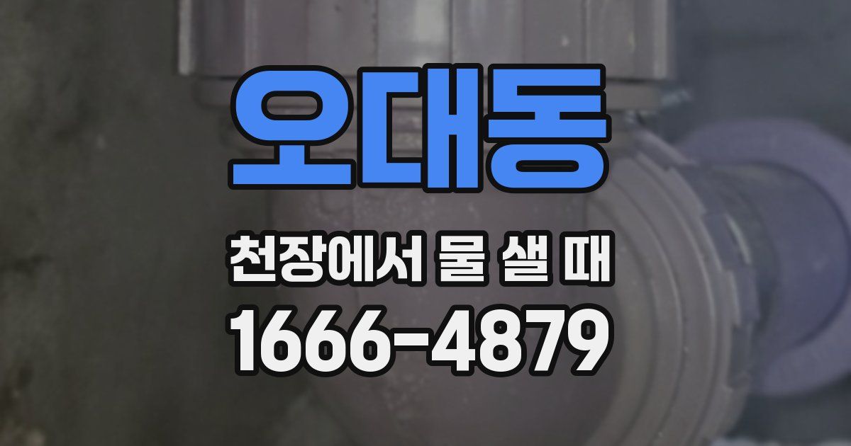 오대동 천장에서 물 샐 때