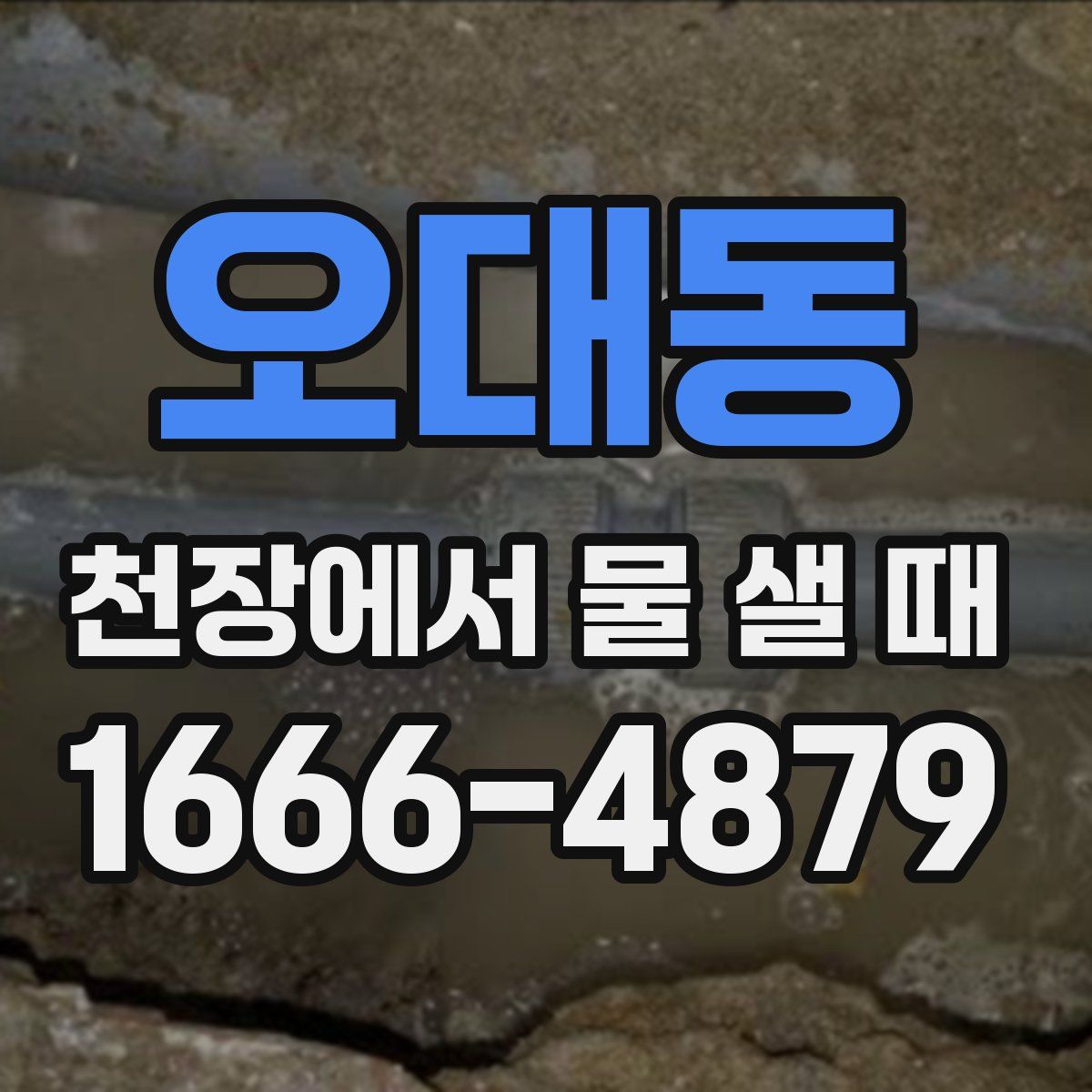 오대동 천장에서 물 샐 때
