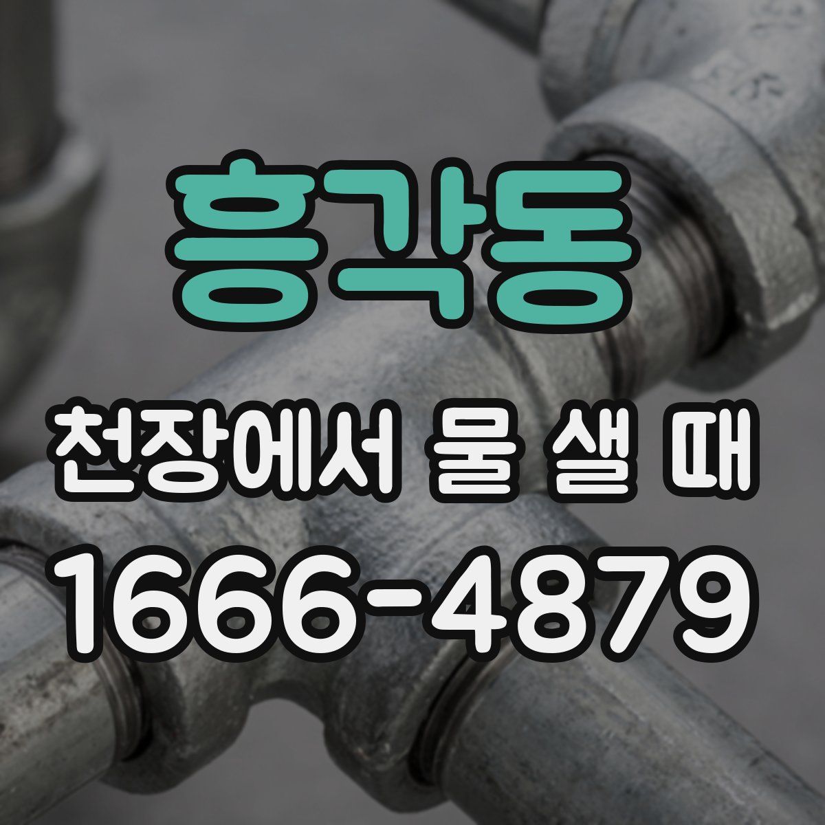 흥각동 천장에서 물 샐 때