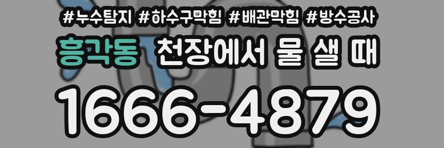 흥각동 천장에서 물 샐 때