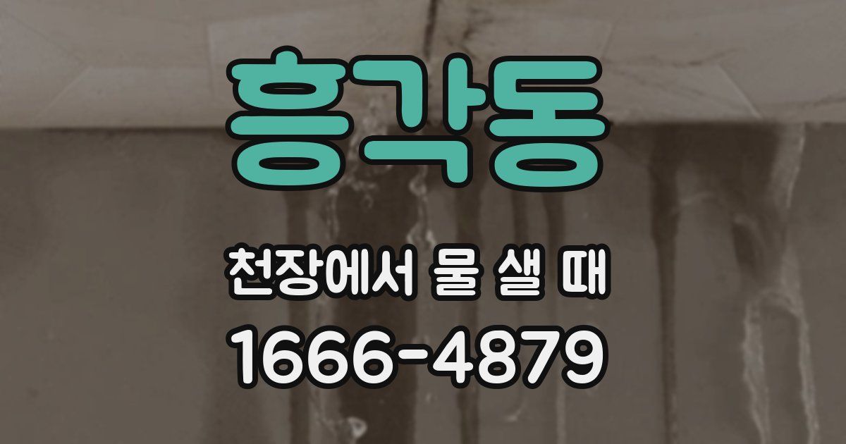 흥각동 천장에서 물 샐 때