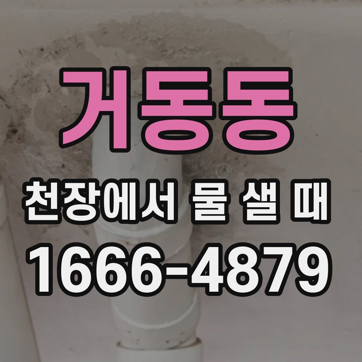 거동동 천장에서 물 샐 때