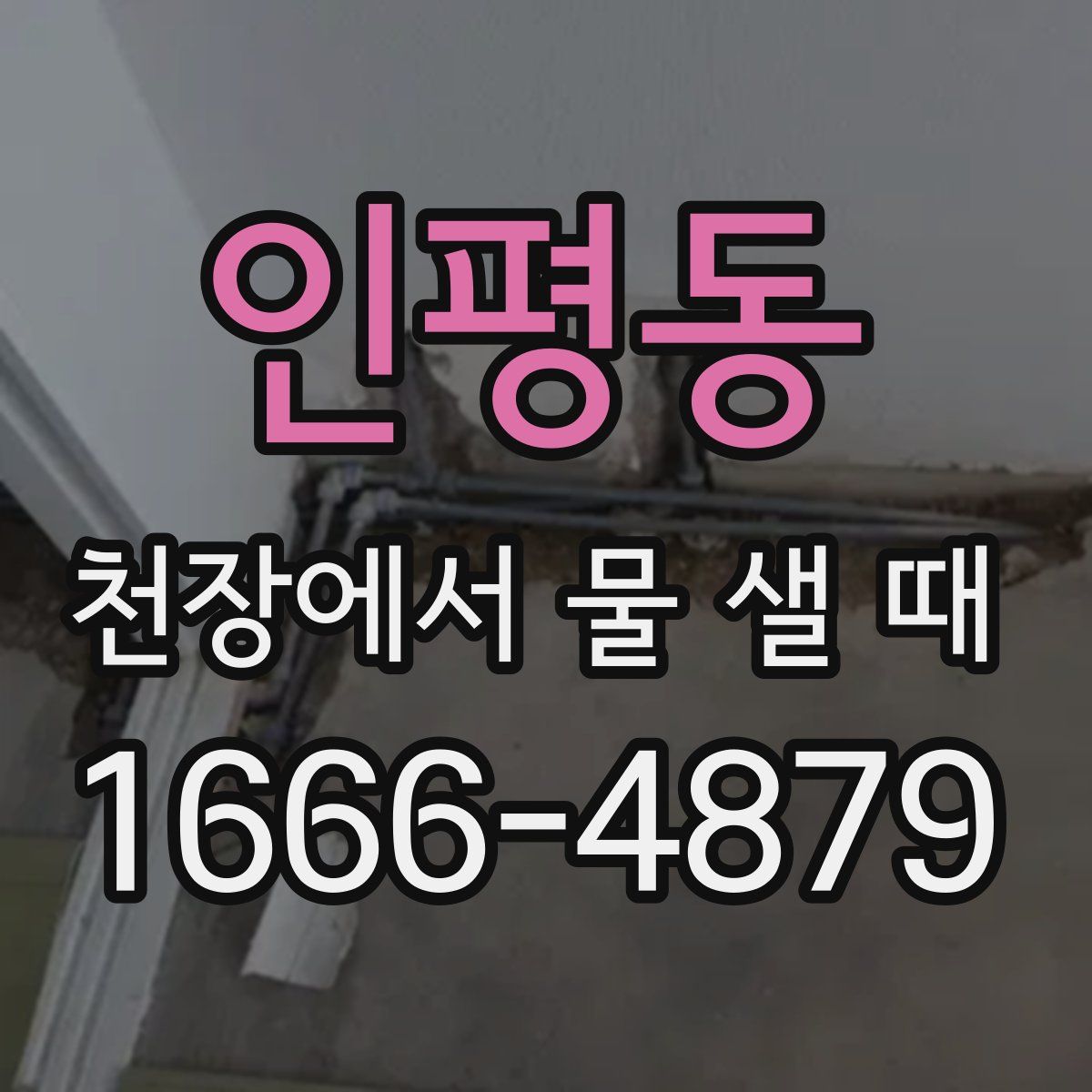 인평동 천장에서 물 샐 때