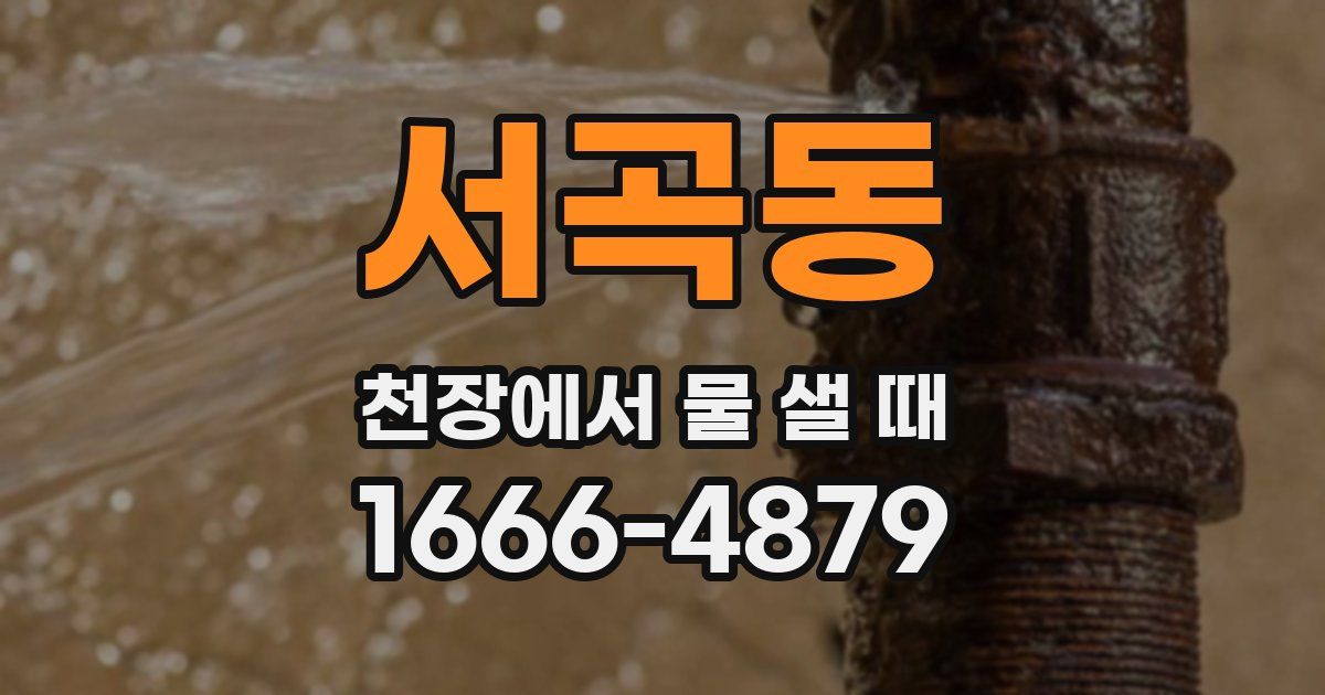 서곡동 천장에서 물 샐 때