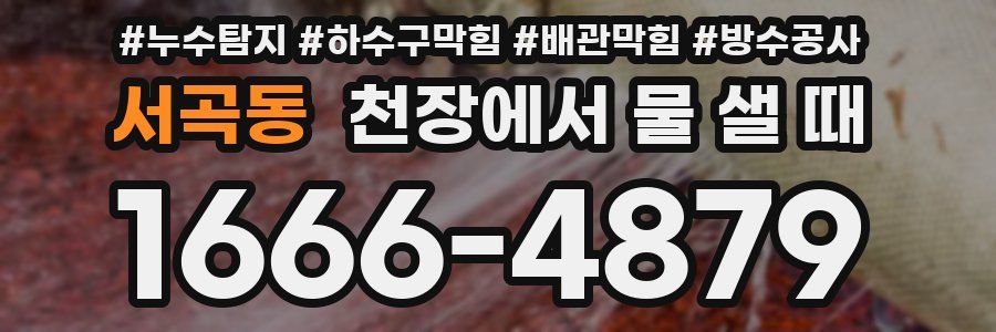 서곡동 천장에서 물 샐 때