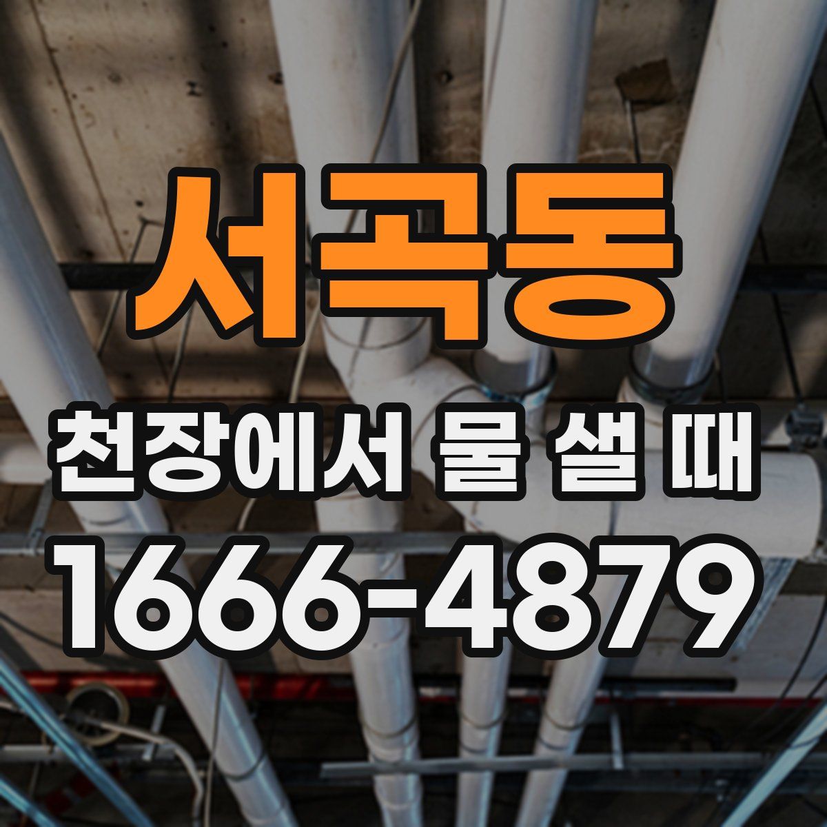 서곡동 천장에서 물 샐 때