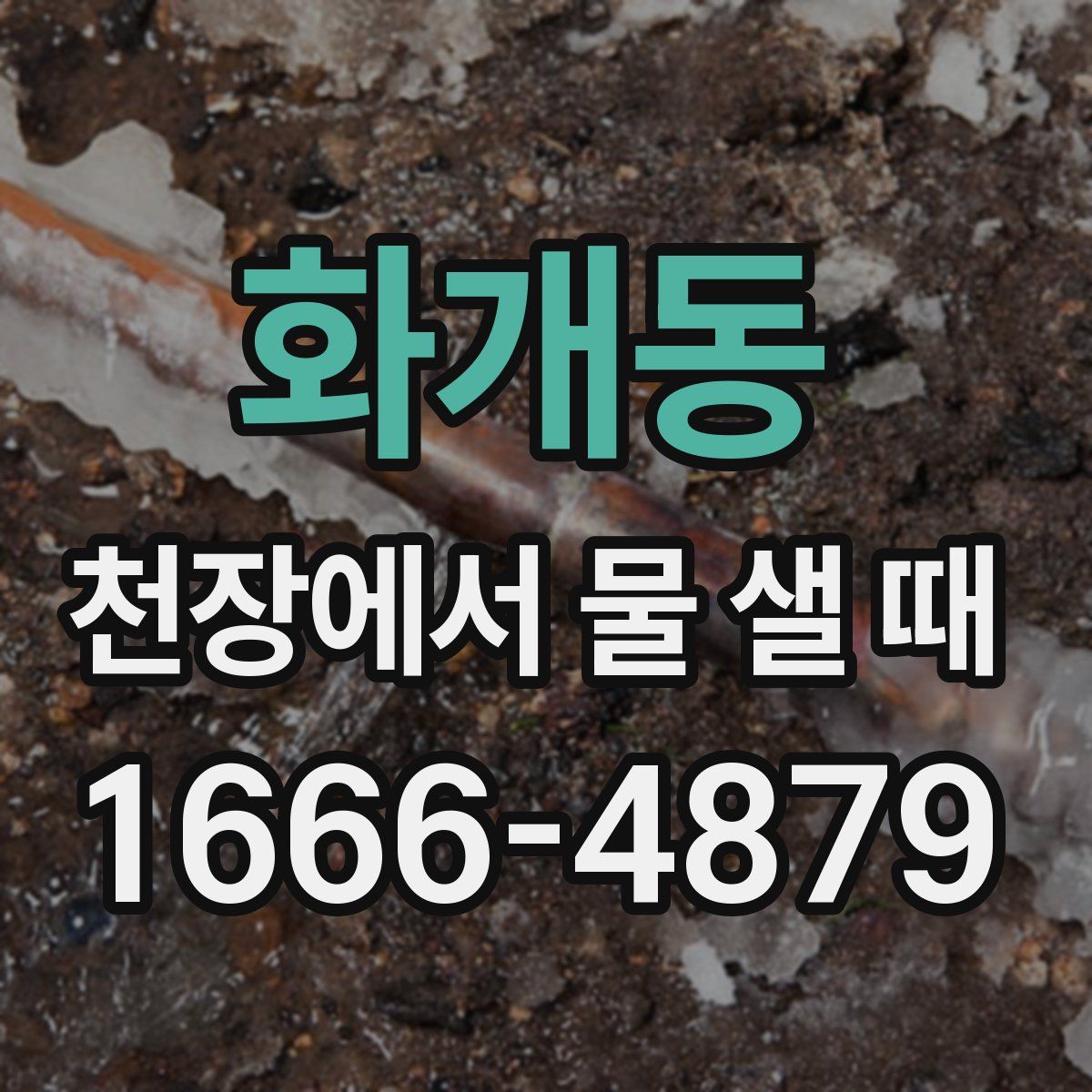 화개동 천장에서 물 샐 때