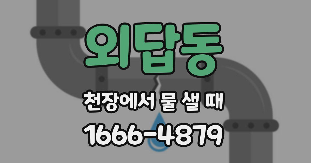 외답동 천장에서 물 샐 때