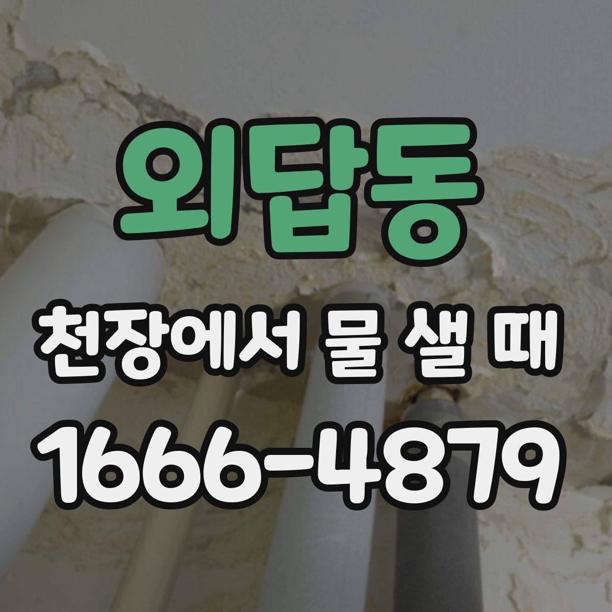 외답동 천장에서 물 샐 때