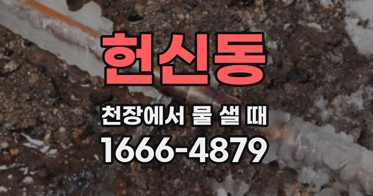 헌신동 천장에서 물 샐 때
