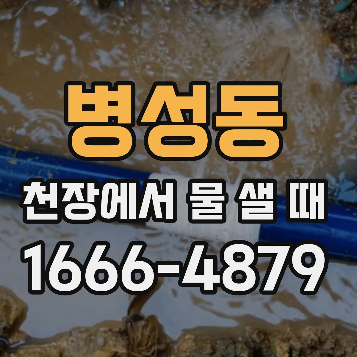 병성동 천장에서 물 샐 때