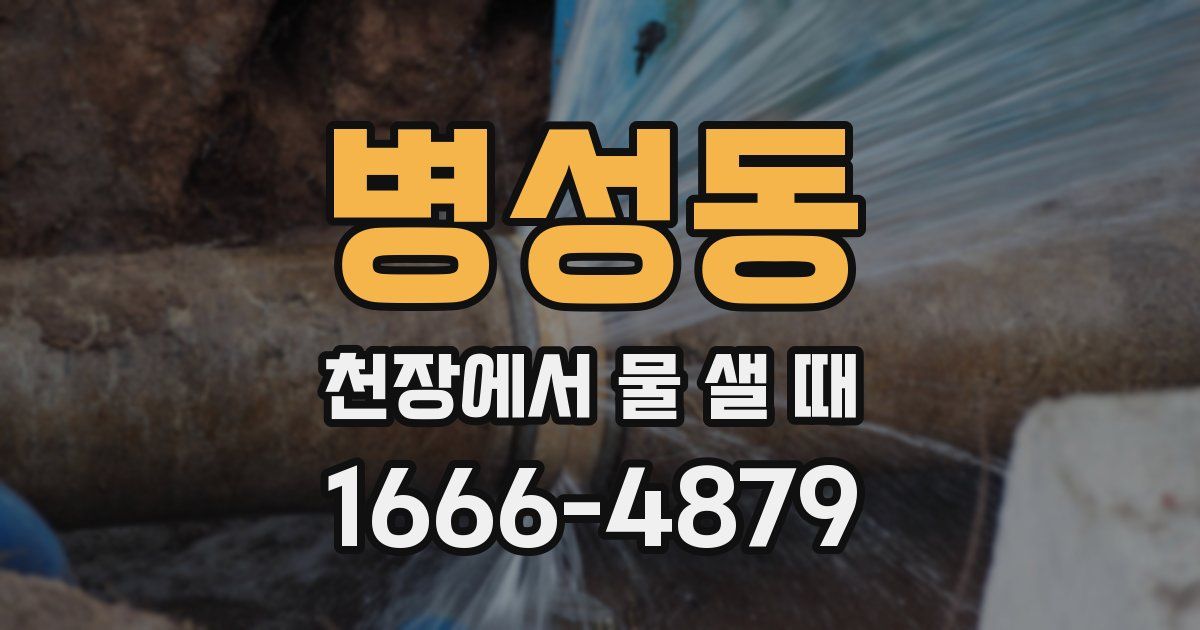 병성동 천장에서 물 샐 때