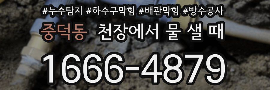 중덕동 천장에서 물 샐 때