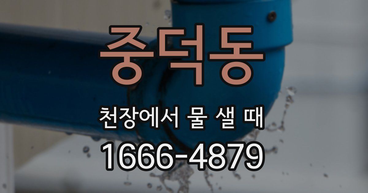 중덕동 천장에서 물 샐 때
