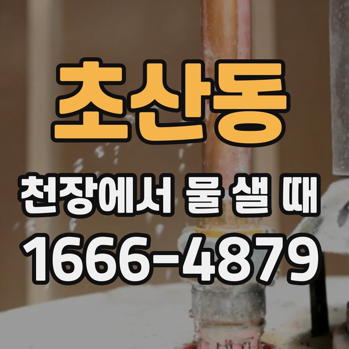초산동 천장에서 물 샐 때
